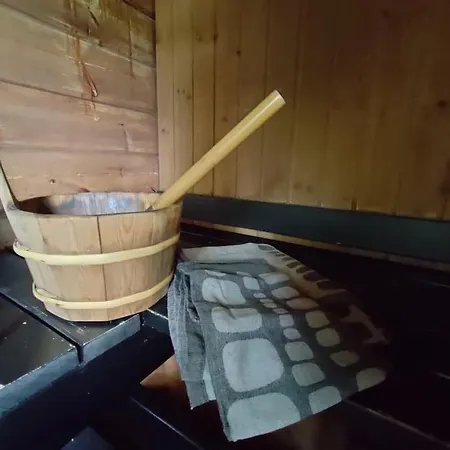 Viihtyisae Moekki Jaerven Rannalla Sysmä