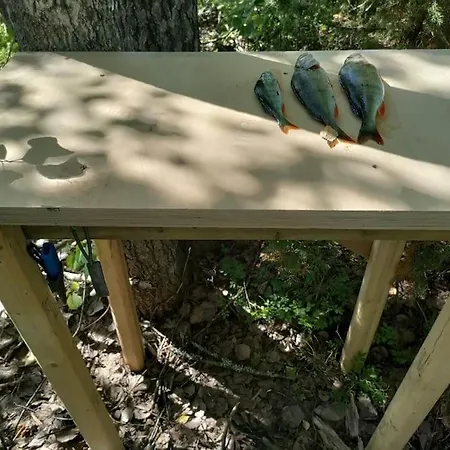 Viihtyisae Moekki Jaerven Rannalla * Sysmä