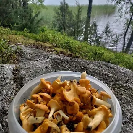 Lägenhet Viihtyisae Moekki Jaerven Rannalla Sysmä