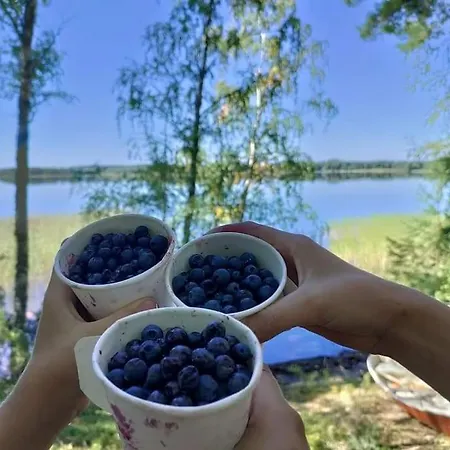 Viihtyisae Moekki Jaerven Rannalla アパート Sysmä