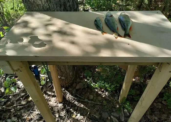 Viihtyisae Moekki Jaerven Rannalla * Sysmä