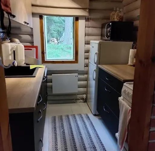 Viihtyisae Moekki Jaerven Rannalla *