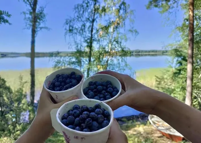 Viihtyisae Moekki Jaerven Rannalla 公寓 Sysmä